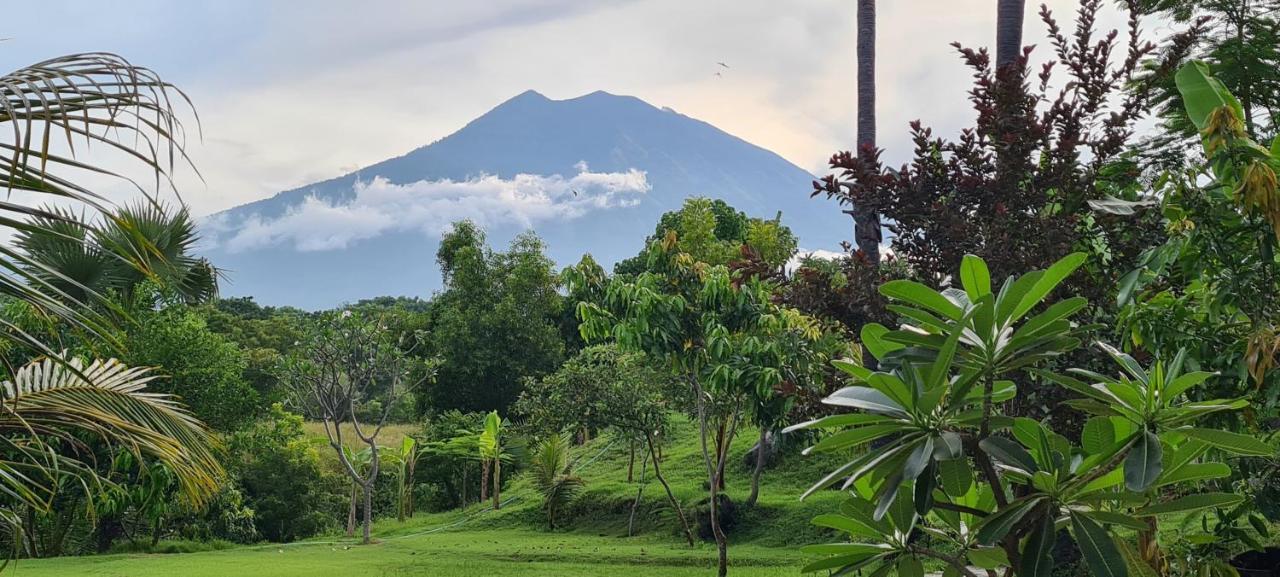 Palm Springs Bali Dive Resort Tulamben Eksteriør billede