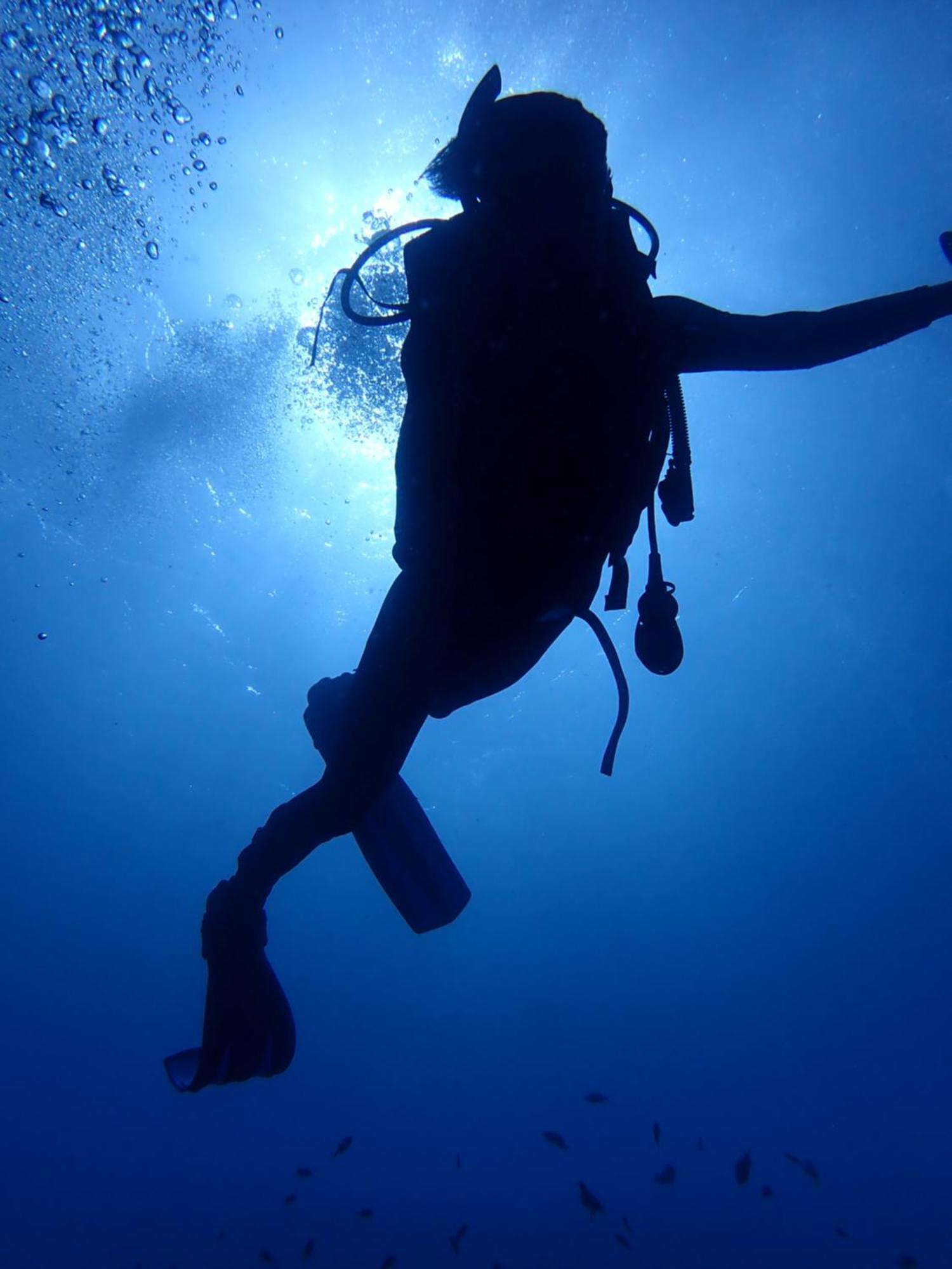 Palm Springs Bali Dive Resort Tulamben Eksteriør billede