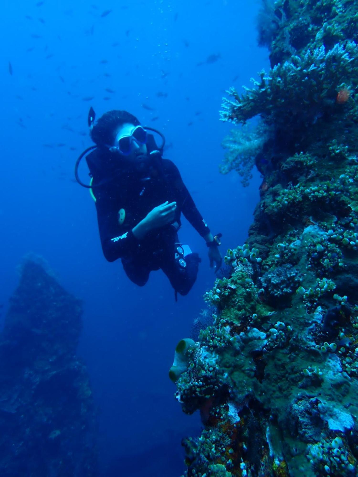 Palm Springs Bali Dive Resort Tulamben Eksteriør billede