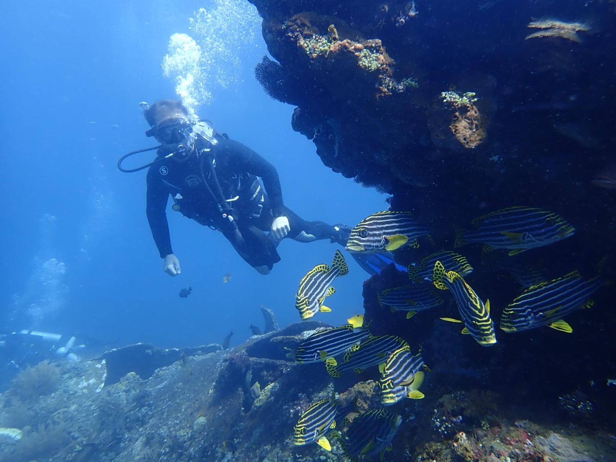 Palm Springs Bali Dive Resort Tulamben Eksteriør billede